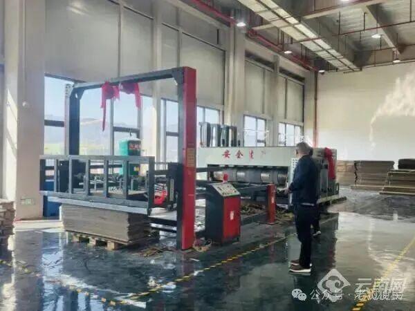 【云南】进口反季西瓜迎旺季这家纸箱厂日均纸箱包装需求达30万箱(图2)