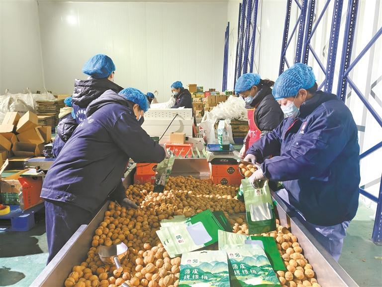 九游体育网站：三秦优品卖全球(图4)