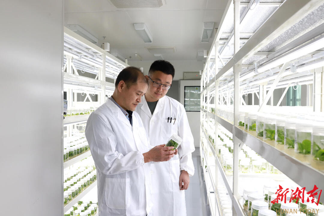 向新而行质领未来——湖南中烟以新质生产力点燃产业升级新引擎(图2)