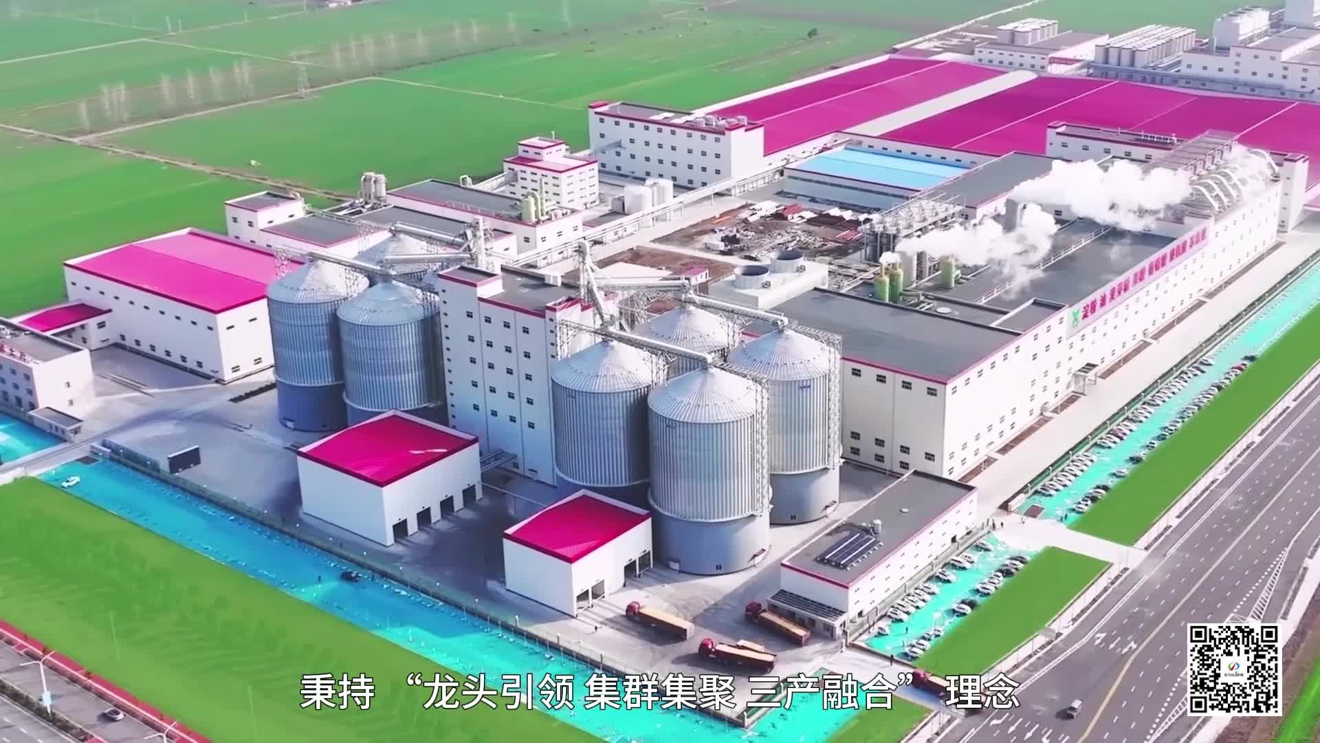 九游体育网站：今日驻马店--驻马店新闻--广视网(图3)