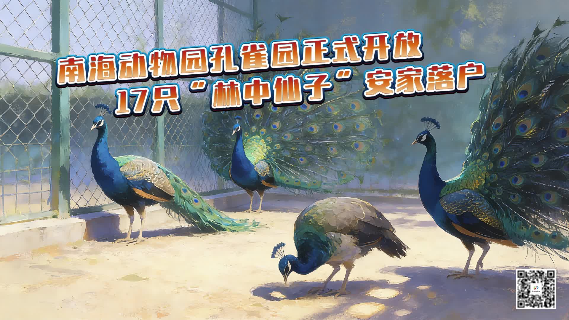 九游体育网站：今日驻马店--驻马店新闻--广视网(图24)