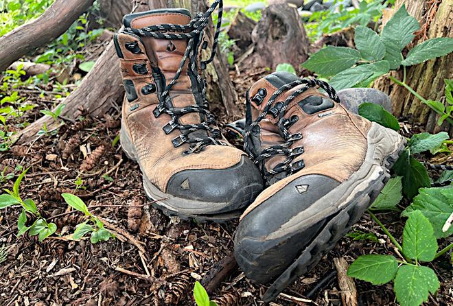 九游体育网站：当代消费者拒绝被品牌道德绑架(图2)